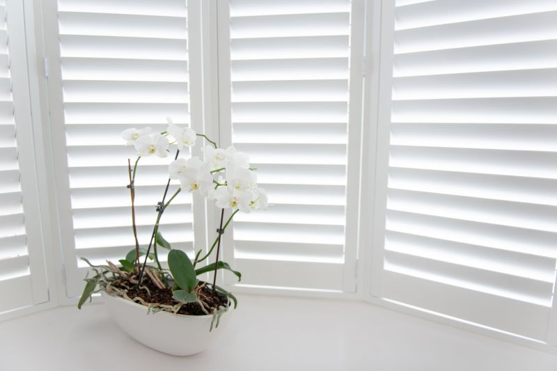 Window Shutter Installation in Denver County, CO