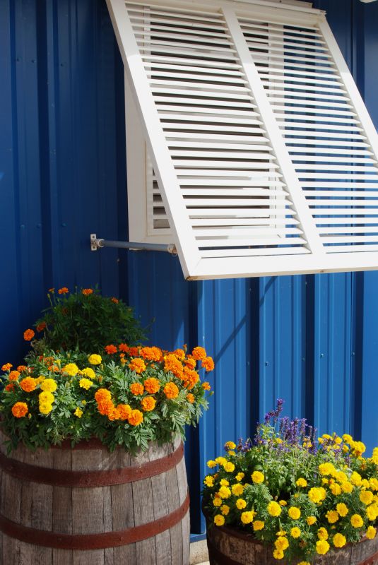 Shutters Replacement in Longmont, CO